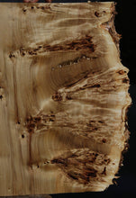 Load image into Gallery viewer, Mappa Burl Slab
