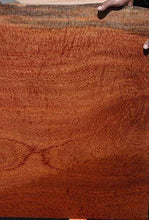 Load image into Gallery viewer, XF Figured Pomelle Sapele Slab
