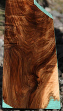Load image into Gallery viewer, Exhibition Feather Crotch Figured English Walnut
