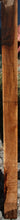 Load image into Gallery viewer, Exhibition Grade English Walnut Rifle Blank

