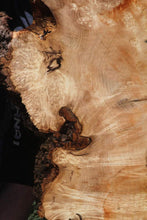 Load image into Gallery viewer, Live Edge Box Elder Slab
