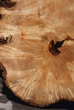 Load image into Gallery viewer, Live Edge Box Elder Slab
