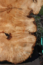 Load image into Gallery viewer, Live Edge Box Elder Slab
