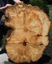 Load image into Gallery viewer, Live Edge Box Elder Slab

