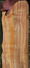 Load image into Gallery viewer, Monkey Puzzle Slab
