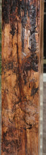 Load image into Gallery viewer, Monkey Puzzle Slab
