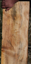 Load image into Gallery viewer, Monkey Puzzle Slab

