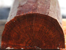 Load image into Gallery viewer, Snakewood Half Log
