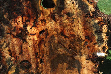 Load image into Gallery viewer, Buckeye Burl Slab
