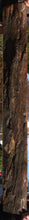 Load image into Gallery viewer, Live Edge Sinker Douglas Fir Long Lumber
