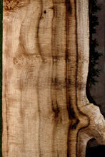 Load image into Gallery viewer, Exhibition Fiddleback  Myrtle Lumber
