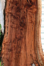 Load image into Gallery viewer, Rustic California Claro Walnut

