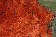Load image into Gallery viewer, XF Asian Pan Burl Tabletop
