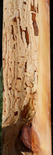 Load image into Gallery viewer, Rustic Wormy Incense Cedar Mantel
