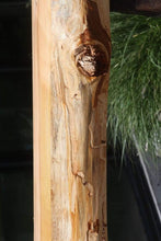 Load image into Gallery viewer, Rustic Wormy Incense Cedar Mantel
