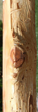 Load image into Gallery viewer, Rustic Wormy Incense Cedar Mantel
