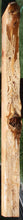 Load image into Gallery viewer, Rustic Wormy Incense Cedar Mantel
