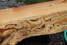 Load image into Gallery viewer, Rustic Wormy Incense Cedar Mantel
