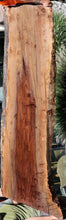 Load image into Gallery viewer, Rustic Claro Walnut Live Edge Slab
