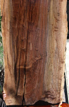 Load image into Gallery viewer, Rustic Claro Walnut Live Edge Slab
