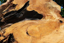 Load image into Gallery viewer, Rustic Port Orford Cedar Slab
