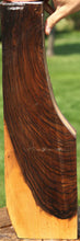 Load image into Gallery viewer, Exhibition Grade Marblecake English Walnut Rifle Stock
