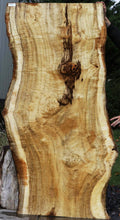 Load image into Gallery viewer, Exhibition Oregon Tiger Myrtle Live Edge Slab
