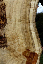 Load image into Gallery viewer, Exhibition Oregon Tiger Myrtle Live Edge Slab
