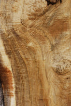 Load image into Gallery viewer, Exhibition Oregon Tiger Myrtle Live Edge Slab
