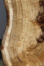 Load image into Gallery viewer, Exhibition Oregon Tiger Myrtle Live Edge Slab
