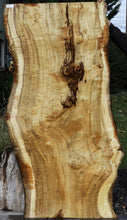 Load image into Gallery viewer, Exhibition Oregon Tiger Myrtle Live Edge Slab
