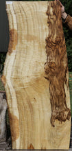 Load image into Gallery viewer, Exhibition Oregon Tiger Myrtle Slab
