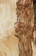Load image into Gallery viewer, Exhibition Oregon Tiger Myrtle Slab
