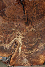 Load image into Gallery viewer, Claro Walnut Burl Slab
