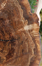 Load image into Gallery viewer, Claro Walnut Burl Slab

