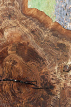 Load image into Gallery viewer, Claro Walnut Burl Slab
