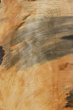 Load image into Gallery viewer, Blue Streaked Figured Ponderosa Pine Slab
