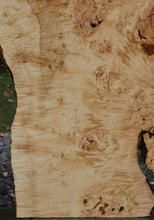 Load image into Gallery viewer, Rustic Flamed Silver Maple Slab
