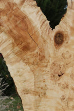 Load image into Gallery viewer, Rustic Flamed Silver Maple Slab
