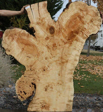 Load image into Gallery viewer, Rustic Flamed Silver Maple Slab
