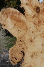 Load image into Gallery viewer, Rustic Flamed Silver Maple Slab
