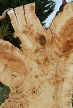Load image into Gallery viewer, Rustic Flamed Silver Maple Slab
