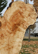 Load image into Gallery viewer, Rustic Flamed Silver Maple Slab
