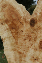 Load image into Gallery viewer, Rustic Flamed Silver Maple Slab
