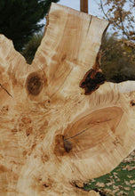 Load image into Gallery viewer, Rustic Flamed Silver Maple Slab
