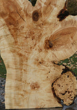 Load image into Gallery viewer, Rustic Flamed Silver Maple Slab

