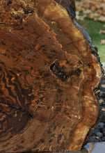 Load image into Gallery viewer, Exhibition Claro Walnut Burl Slab
