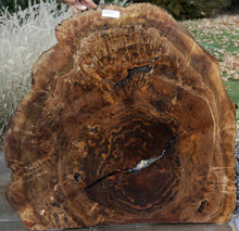 Load image into Gallery viewer, Exhibition Claro Walnut Burl Slab
