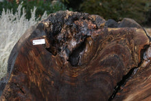 Load image into Gallery viewer, XF Rustic Claro Walnut Burl Slab
