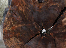 Load image into Gallery viewer, XF Rustic Claro Walnut Burl Slab
